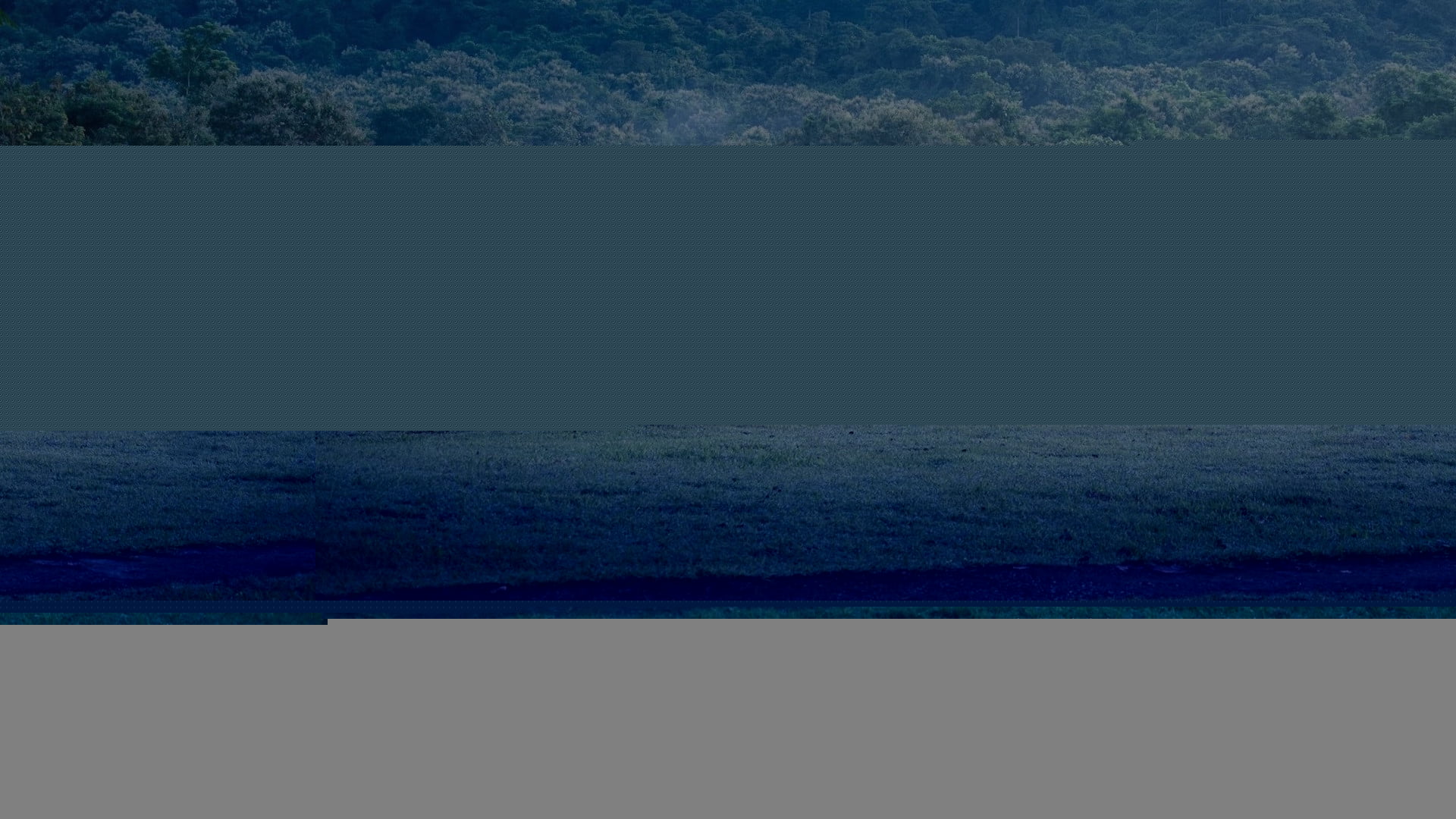 Banner #4